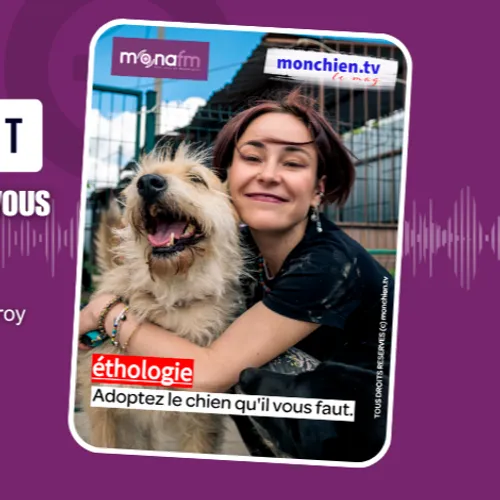 Le chien qu'il nous faut