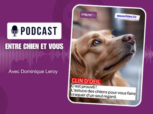 Le pouvoir des chiens