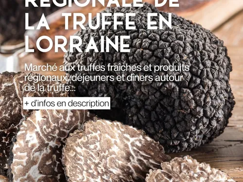 21ème Fête régionale de la Truffe : dégustations, repas, ... 