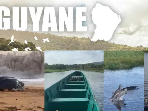 DESTINATION VOYAGE – La forêt amazonienne en Guyane