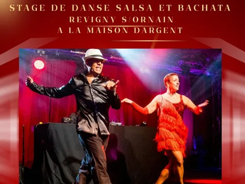 Revigny-sur-Ornain : un stage de Salsa / Bachata organisé ce samedi...