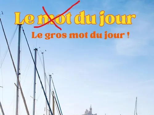 LE GROS MOT DU JOUR - BACHI BOUZOUK