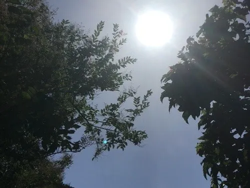 Canicule: une nouvelle vague de fortes chaleurs s'installe sur la...