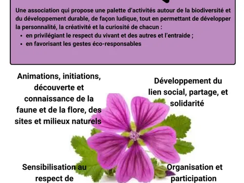 Saint-Juéry : Jouez avec la nature grâce à l'association L'écolo...