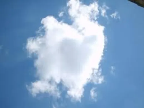 Le Salon "Au Cœur de votre bien-être" s'installe à Lautrec !