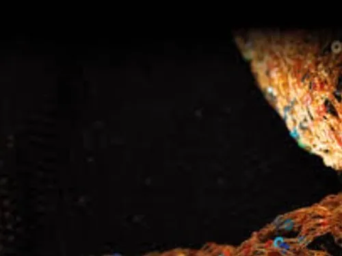 Vente annuelle “magasin d’usine” à La Maille au Personnel –...