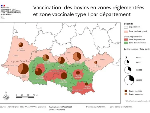 DNC : L’ensemble du cheptel bovin de l’Ariège vacciné avant la fin...