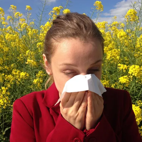 Quels gestes pour limiter les allergies au pollen ? 