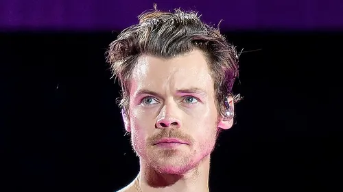 Harry Styles rapporte gros au Fisc ! 