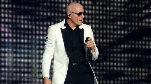 Pitbull veut entrer dans le livre des records