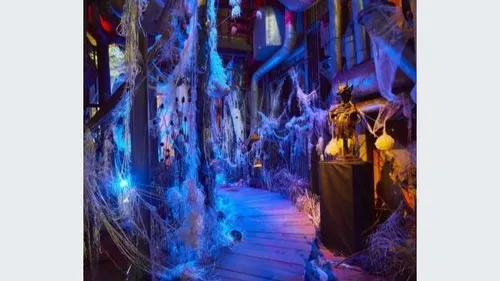 Tombeau maudit à découvrir au Parc de Wesserling ! 