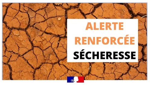 Sécheresse dans le Haut-Rhin : alerte renforcée activée ! 