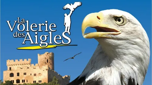 Après 2 semaines de fermeture, la Volerie des aigles est enfin...