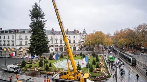 La ville de Tours cherche encore son sapin de Noël ! 