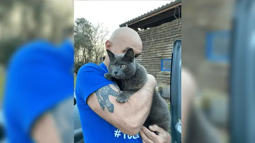 Gironde : un chat retrouvé 7 mois après les importants incendies de...