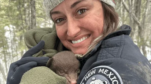 Et si vous deveniez "câlineurs d'ours" ?