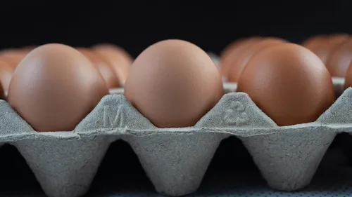 Des coquilles d'oeufs aident la gendarmerie dans une enquête