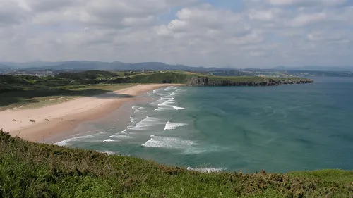 Des solutions face à l'hécatombe des cétacés sur nos plages ? 