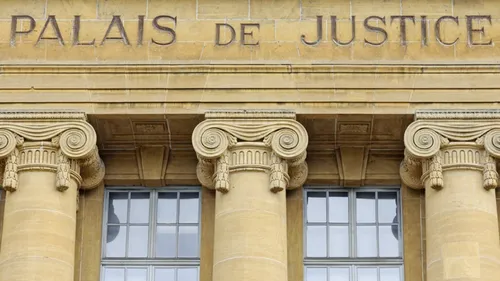 Euthanasie : un vétérinaire jugé à Angers