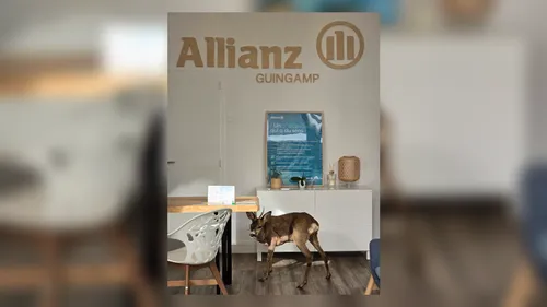 Côtes-d’Armor : un cabinet d’assurance de Guingamp a reçu un...