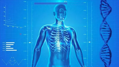 Le Nobel de Médecine à un spécialiste de l'ADN chez les hommes...