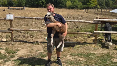 Naissance de Romy, une petite alpaga au Parc des Clautres