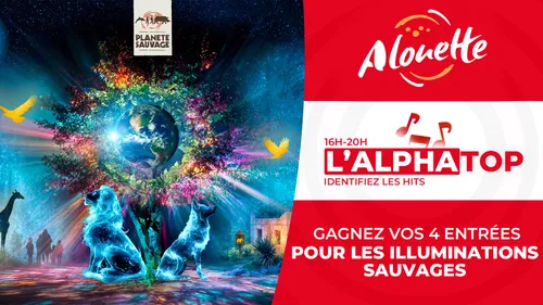 L'ALPHATOP - Gagnez 4 entrées pour les Illuminations Sauvages à...