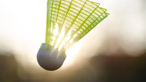 Ce jeune breton a dérobé plus de 500 volants de badminton