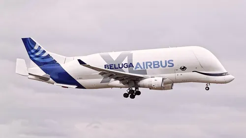 Un Beluga dans le ciel de Limoges