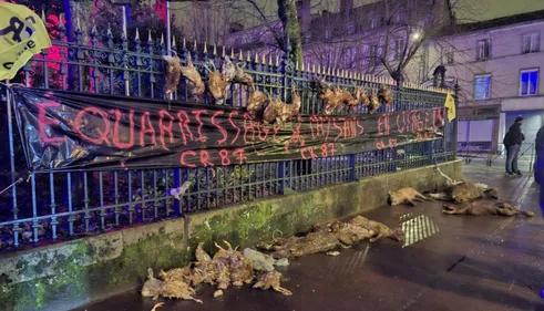 Limoges : des cadavres d’animaux devant la préfecture