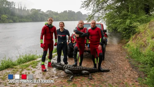 Les pompiers sauvent un crocodile dans un fleuve, jusqu'à ce que...  