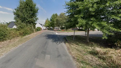 Maine-et-Loire : un chien a tué un homme et en a blessé un autre