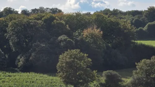 Creuse : des milliers de manifestants à Guéret contre...