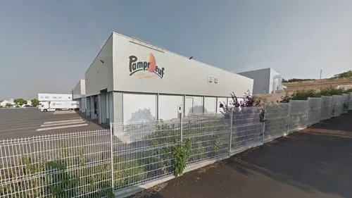 Salmonelle : une intoxication après avoir consommé de la mousse au...