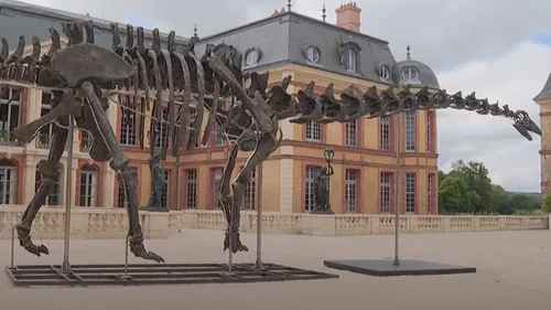 Vente aux enchères : le squelette d’un dinosaure vendu 6 millions...