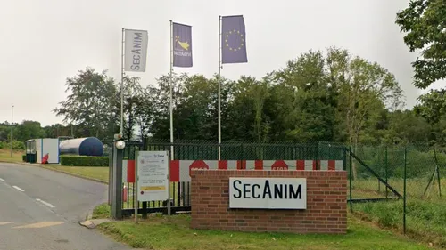 Nuisances olfactives dans une usine d’équarrissage bretonne : la...