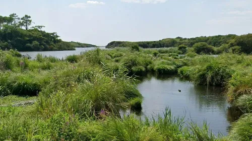 Une nouvelle réserve naturelle créée en Bretagne, la plus grande à...