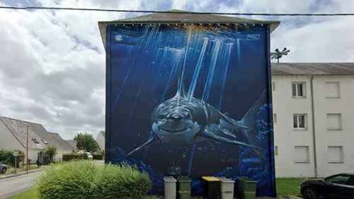 Street art : une fresque de mégalodon en Indre-et-Loire pourrait...