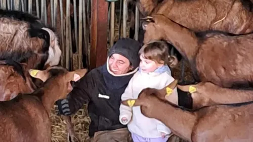 Indre : elle pousse un coup de gueule pour sauver ses chèvres, sa...
