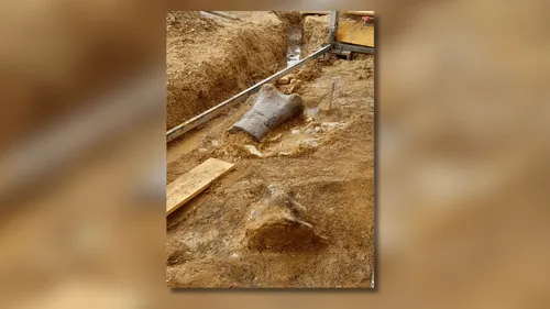 Des os de dinosaures géants découverts en Charente