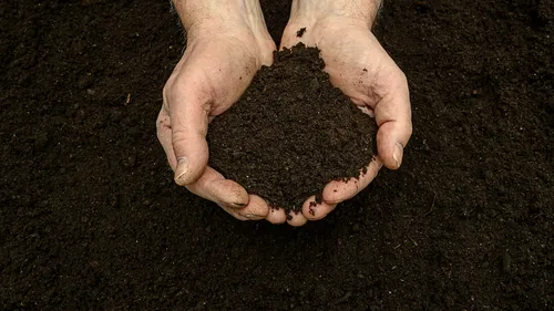 Terramation : et si vous vous transformiez en compost après votre...