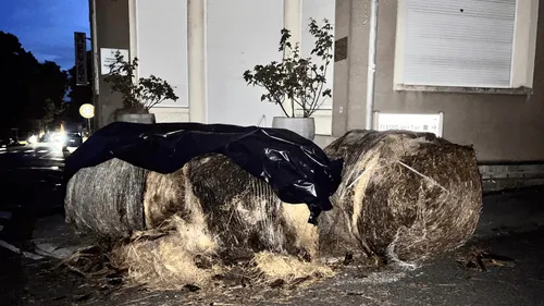 Loi Duplomb : la permanence de Delphine Batho dégradée en Deux-Sèvres