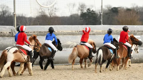 Qu'est-ce que les Pony Games, à l'honneur en Maine-et-Loire ?