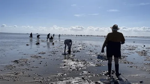 Ile de Ré : un pêcheur à pied porté disparu, emporté par la marée
