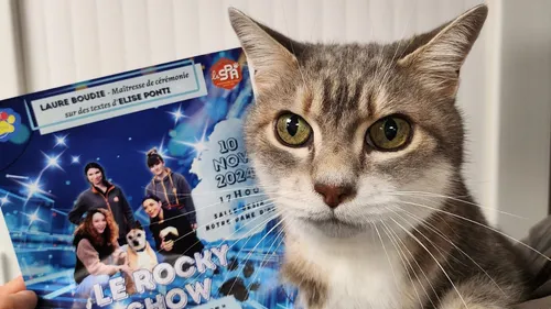 Indre-et-Loire : le Rocky Show, un spectacle pour le refuge de la SPA