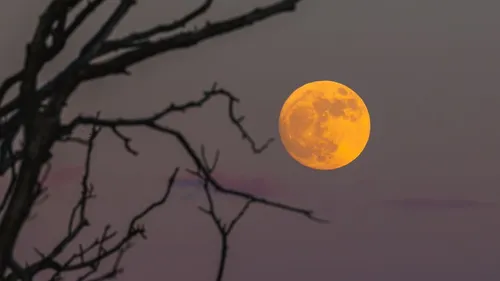 Lune de sang : va-t-on voir l'éclipse lunaire totale ce mardi 3...