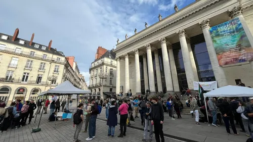 Mobilisation à Nantes : 3 questions à une manifestante
