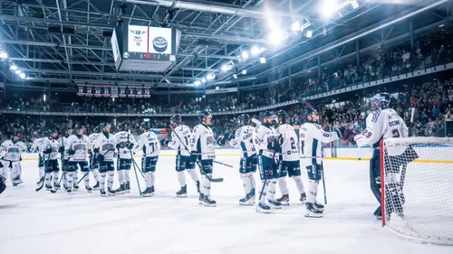 Angers : c’est la rentrée pour les Ducs !