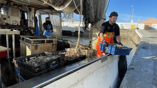 "Des quantités dérisoires" : le bilan décevant de la pêche aux...