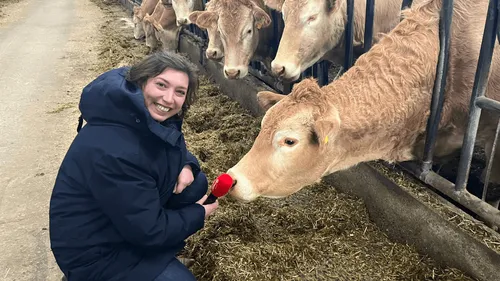Du 100% français dans les cantines : les Deux-Sèvres changent le...